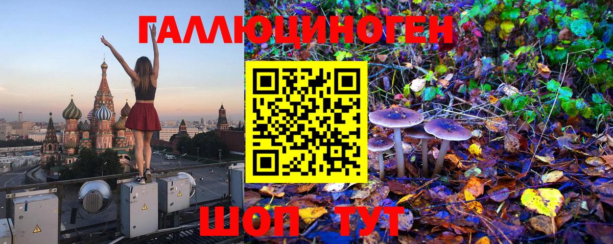 Галлюциногенные грибы Psilocybine cubensis Красноуфимск