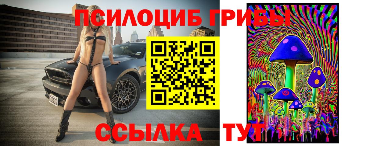 Галлюциногенные грибы Psilocybe  Вход с VPN  Красноуфимск  Псилоцибиновые грибы GOLDEN TEACHER 